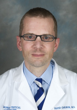 Dr. David Carlbom