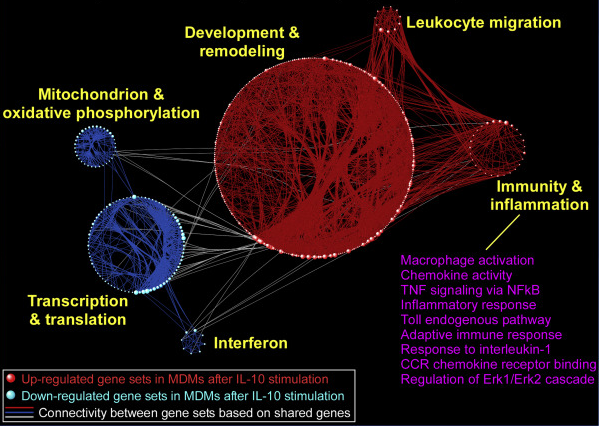 Clustering of gene sets and their interconnections.