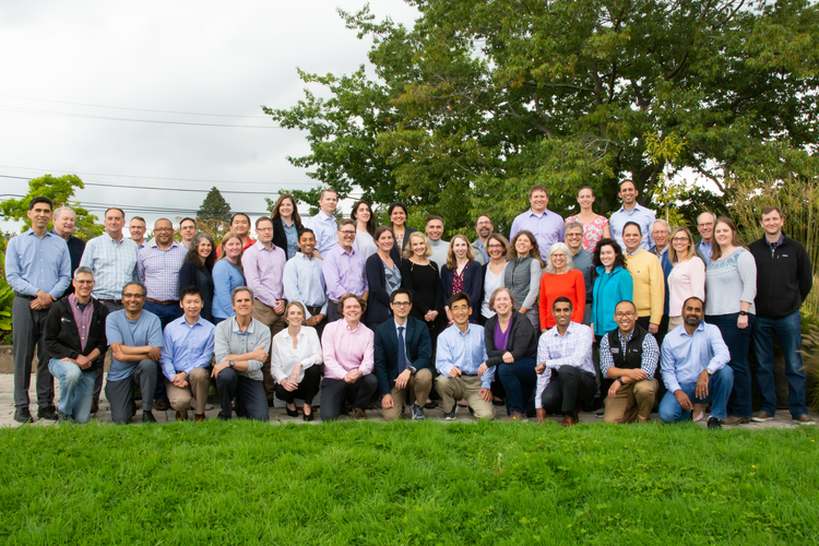 Division group photo