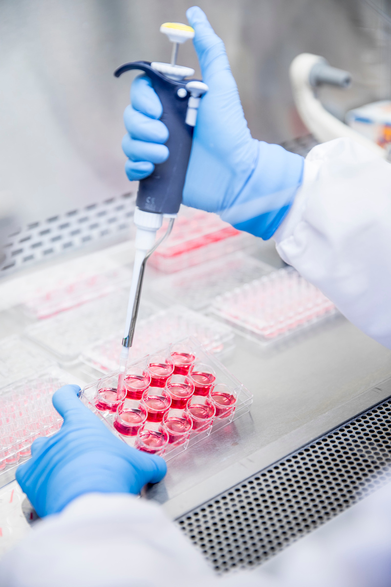 Pipette and samples