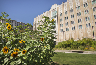 Exterior shot of Harborview with flowers in foreground